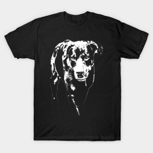 rottweiler T-Shirt